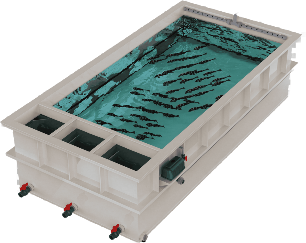 Recirculating Aquaculture Tank